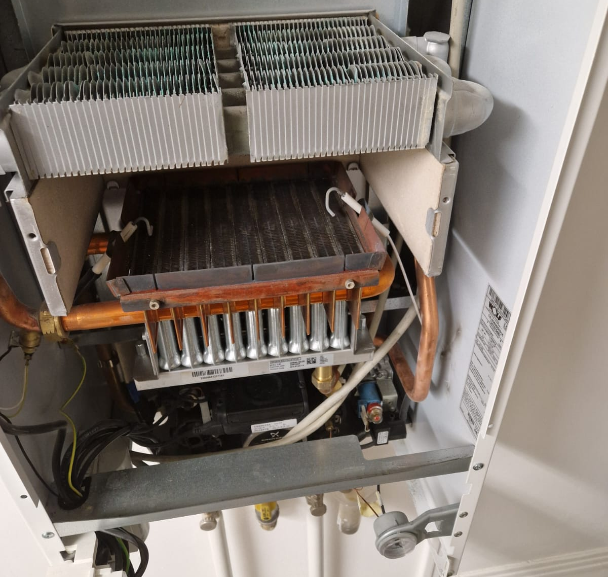 Fachmännische Thermenwartung Wien Installateur